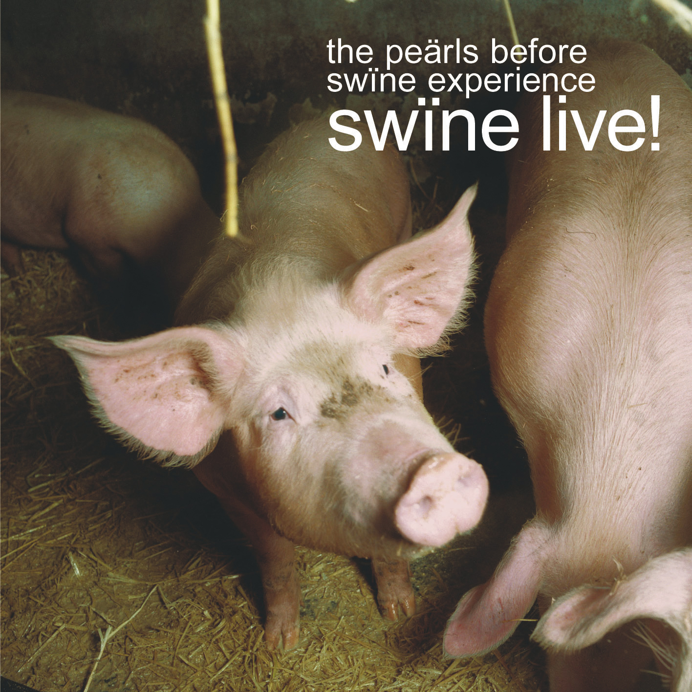 swïne live!