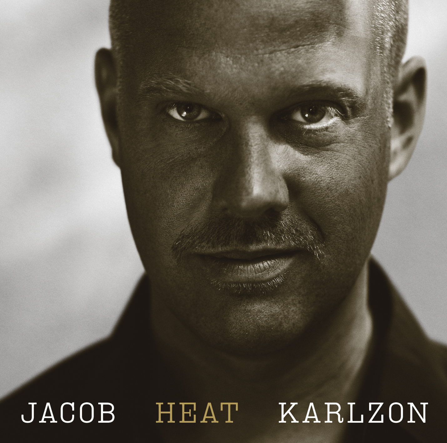 Jacob Karlzon: Heat